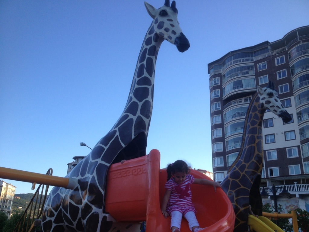 20130724-214004.jpg