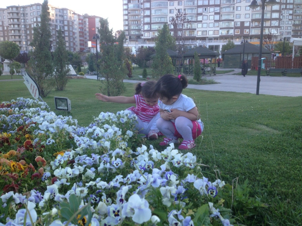 20130727-031045.jpg